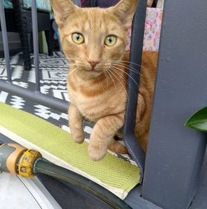 Meet your Posher, Eileen